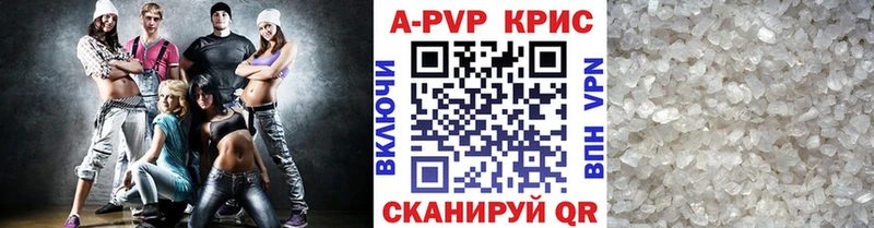 A-PVP СК КРИС  Шенкурск 