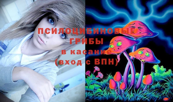 ПСИЛОЦИБИНОВЫЕ ГРИБЫ Абинск