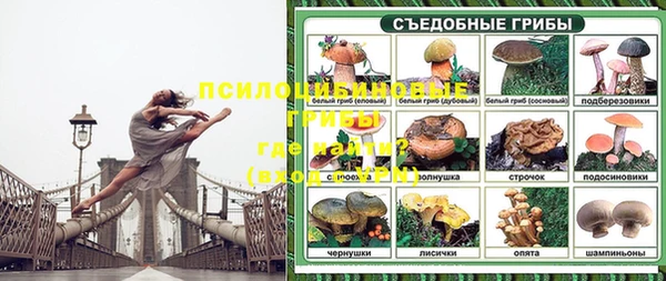 2c-b Абдулино