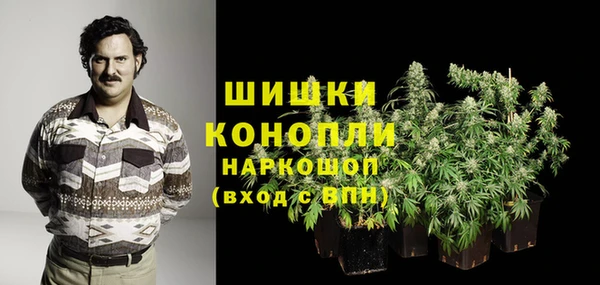 ПСИЛОЦИБИНОВЫЕ ГРИБЫ Абинск