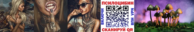 Псилоцибиновые грибы мицелий  ОМГ ОМГ как войти  Шенкурск 